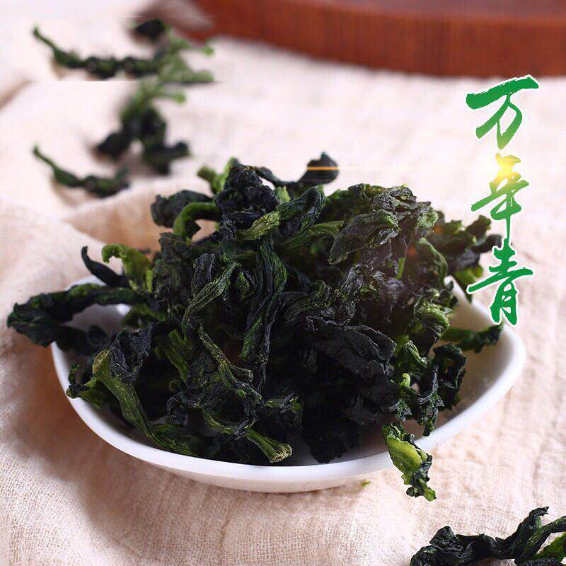 萬(wàn)年青